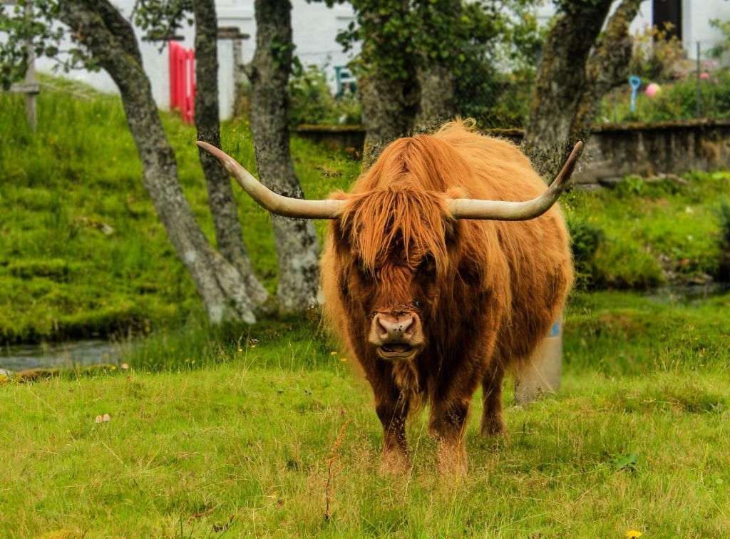 Ruta 9 días en Escocia