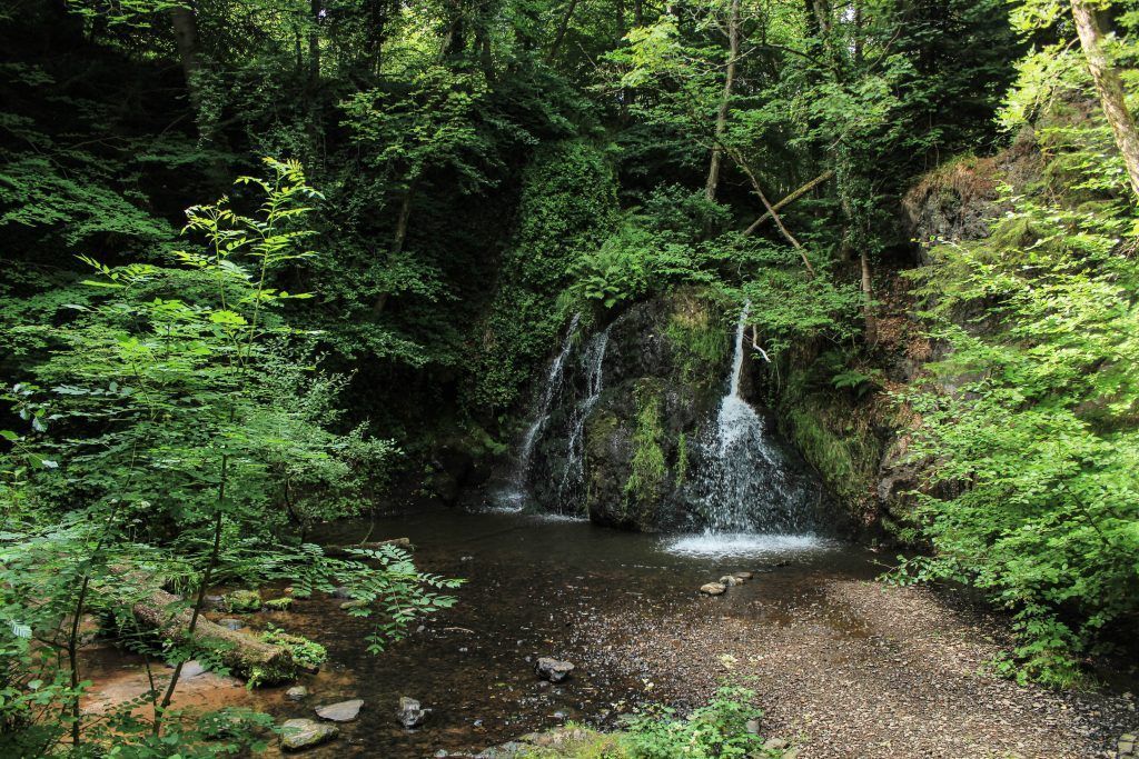 Fairy glen
