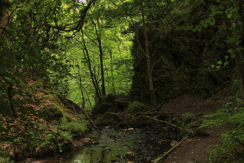 Fairy glen