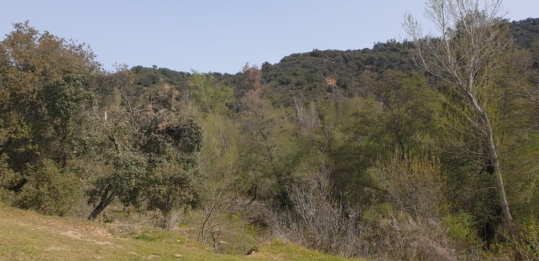 Ruta San Agustín del Guadalix