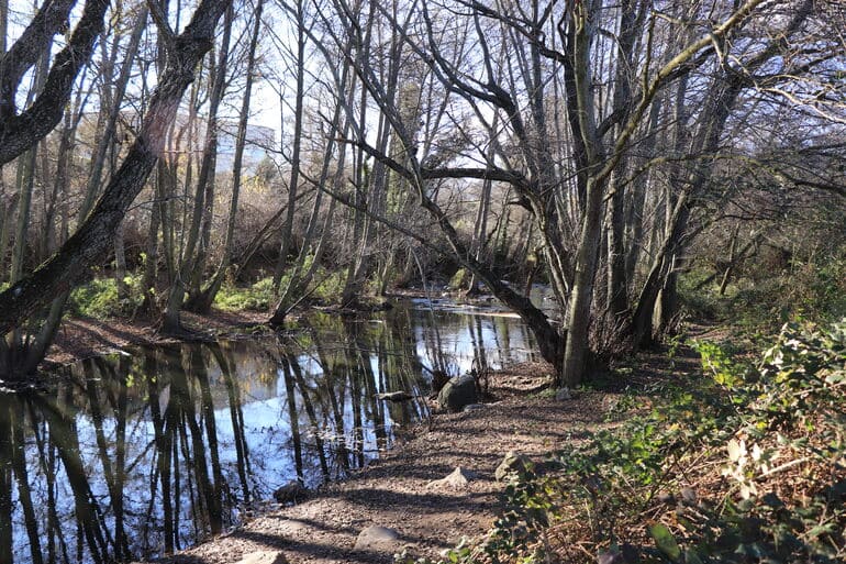Río Guadalix