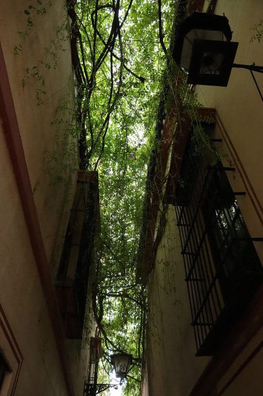 rincones de sevilla